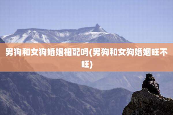 男狗和女狗婚姻相配吗(男狗和女狗婚姻旺不旺)