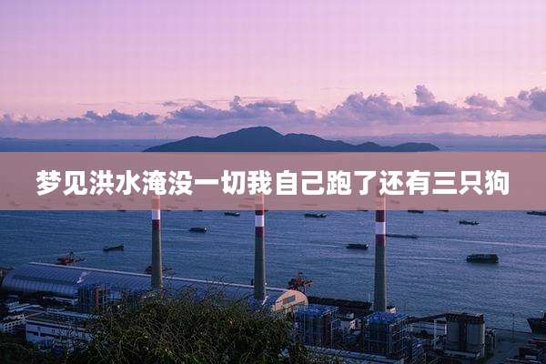 梦见洪水淹没一切我自己跑了还有三只狗