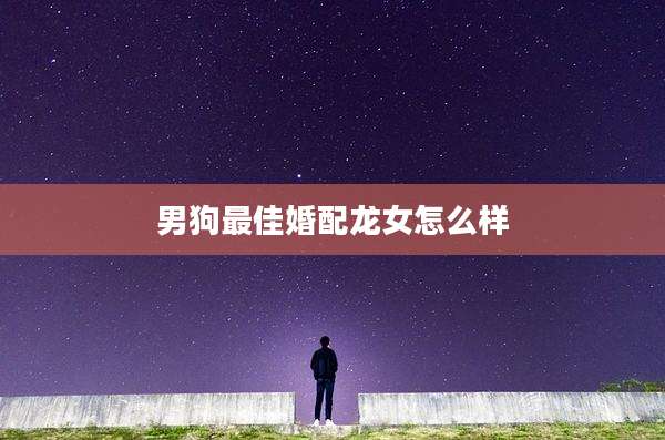 男狗最佳婚配龙女怎么样