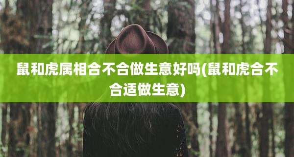 鼠和虎属相合不合做生意好吗(鼠和虎合不合适做生意)