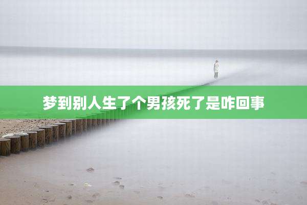 梦到别人生了个男孩死了是咋回事