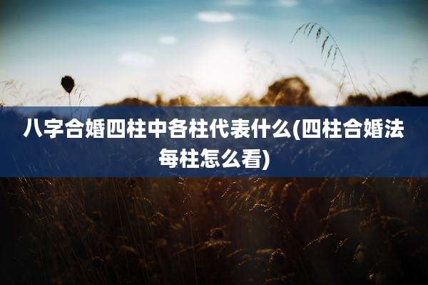 八字合婚四柱中各柱代表什么(四柱合婚法每柱怎么看)