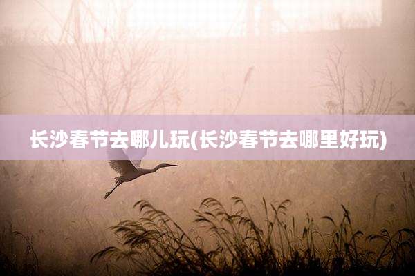 长沙春节去哪儿玩(长沙春节去哪里好玩)