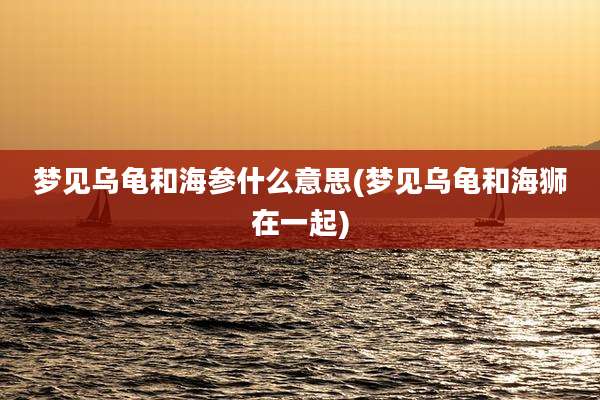 梦见乌龟和海参什么意思(梦见乌龟和海狮在一起)