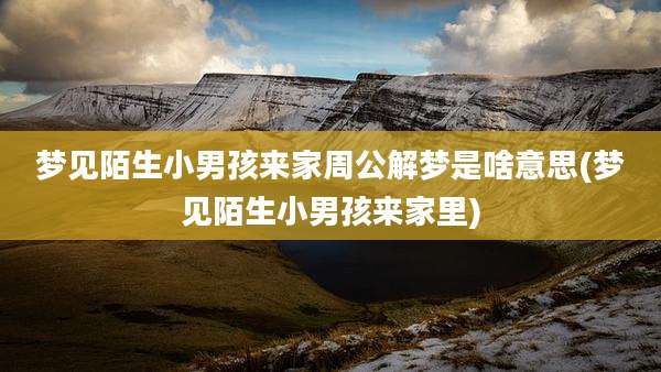 梦见陌生小男孩来家周公解梦是啥意思(梦见陌生小男孩来家里)