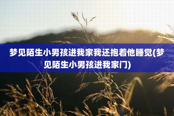 梦见陌生小男孩进我家我还抱着他睡觉(梦见陌生小男孩进我家门)