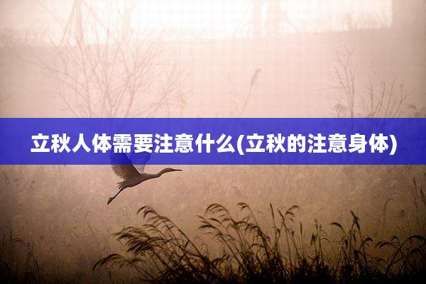 立秋人体需要注意什么(立秋的注意身体)