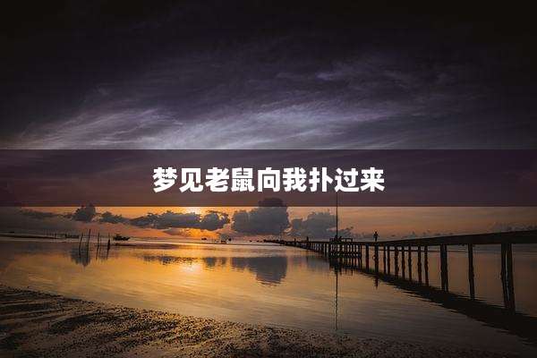梦见老鼠向我扑过来