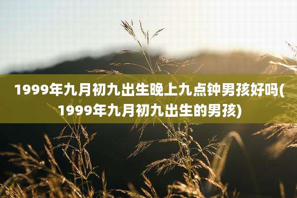 1999年九月初九出生晚上九点钟男孩好吗(1999年九月初九出生的男孩)