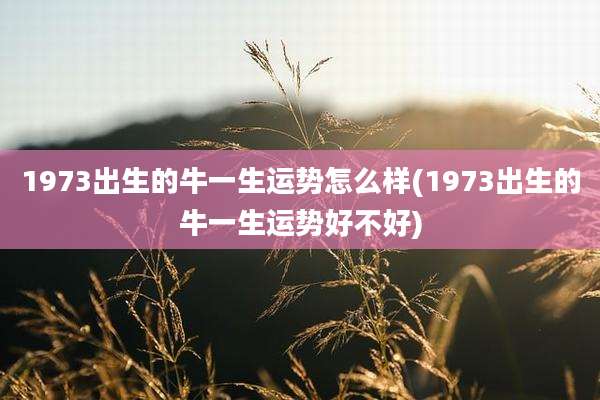 1973出生的牛一生运势怎么样(1973出生的牛一生运势好不好)