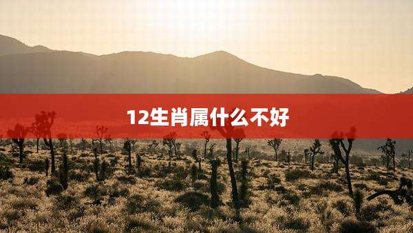 12生肖属什么不好