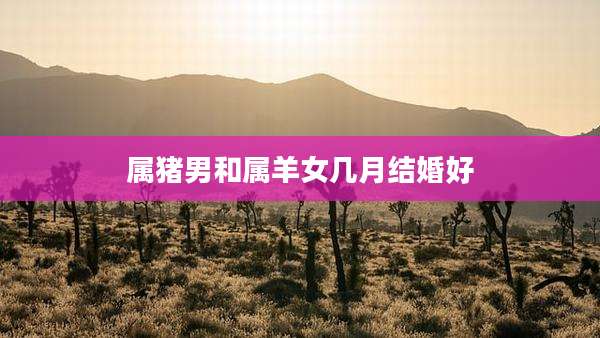 属猪男和属羊女几月结婚好