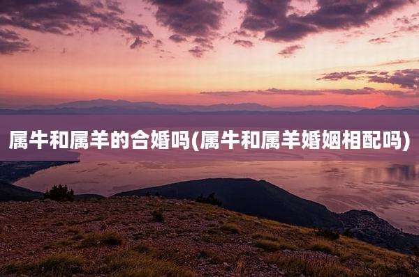 属牛和属羊的合婚吗(属牛和属羊婚姻相配吗)