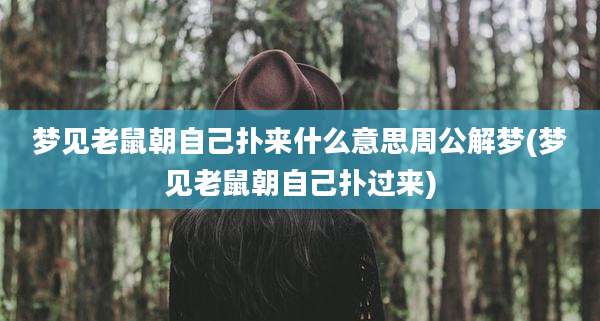 梦见老鼠朝自己扑来什么意思周公解梦(梦见老鼠朝自己扑过来)