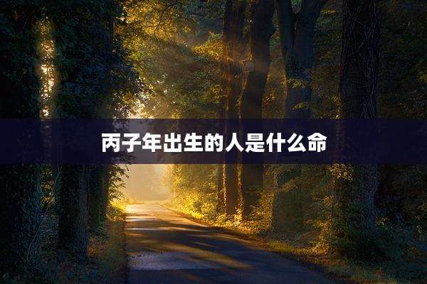 丙子年出生的人是什么命