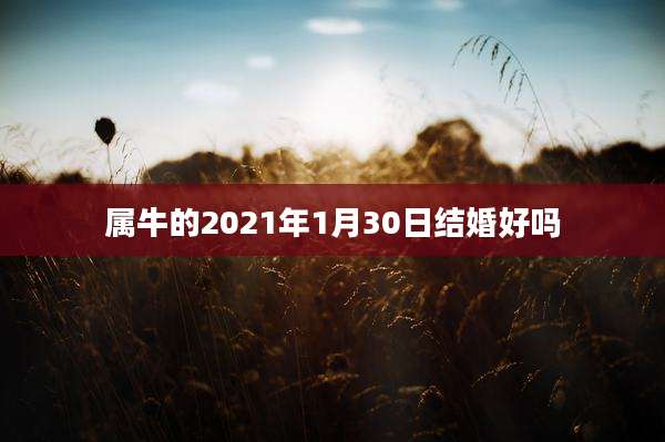 属牛的2021年1月30日结婚好吗