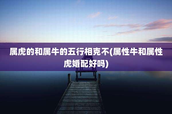 属虎的和属牛的五行相克不(属性牛和属***婚配好吗)