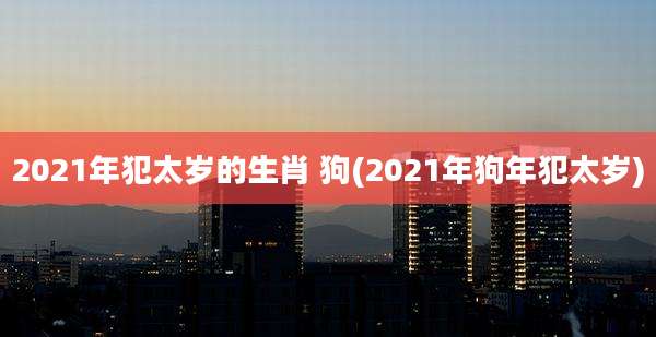 2021年犯太岁的生肖 狗(2021年狗年犯太岁)