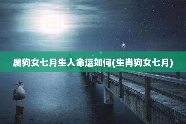 属狗女七月生人命运如何(生肖狗女七月)