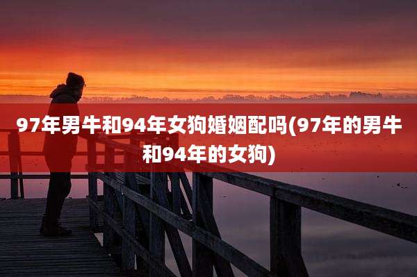 97年男牛和94年女狗婚姻配吗(97年的男牛和94年的女狗)