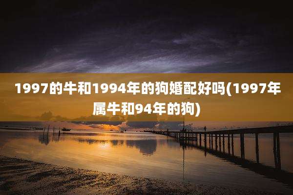 1997的牛和1994年的狗婚配好吗(1997年属牛和94年的狗)