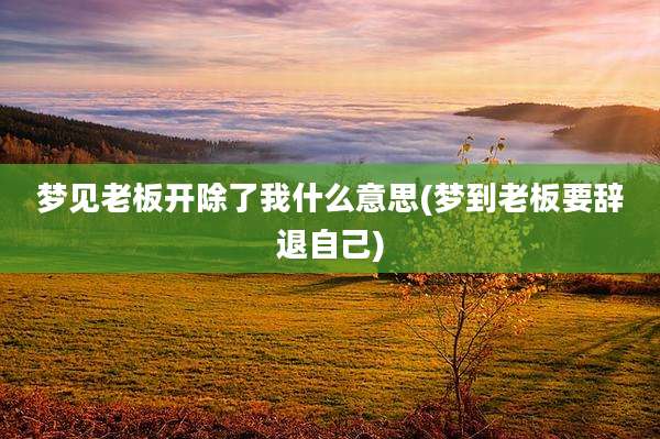 梦见老板开除了我什么意思(梦到老板要辞退自己)