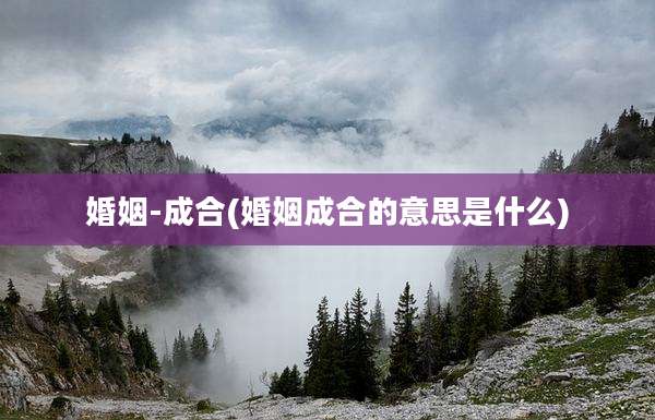 婚姻-成合(婚姻成合的意思是什么)
