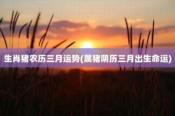 生肖猪农历三月运势(属猪阴历三月出生命运)