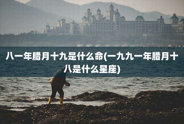 八一年腊月十九是什么命(一九九一年腊月十八是什么星座)
