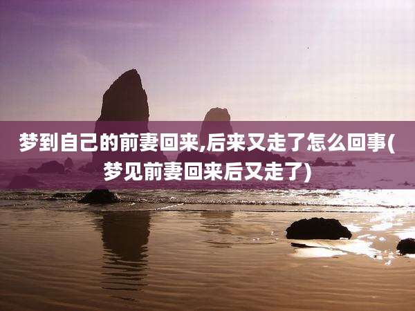 梦到自己的前妻回来,后来又走了怎么回事(梦见前妻回来后又走了)