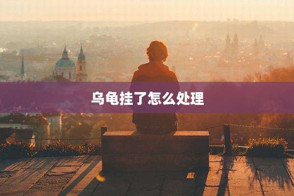 乌龟挂了怎么处理