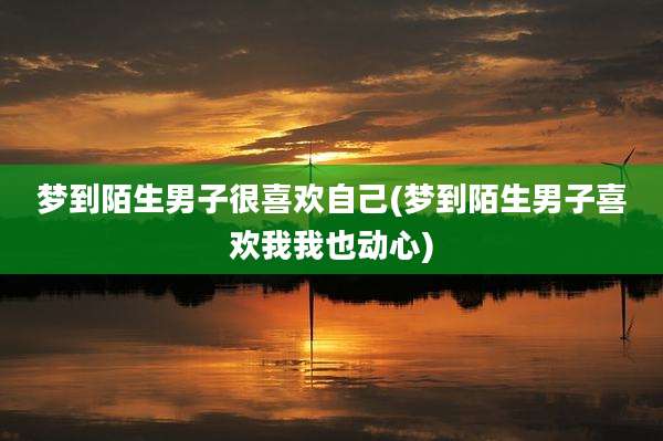 梦到陌生男子很喜欢自己(梦到陌生男子喜欢我我也动心)
