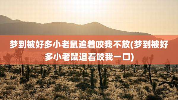 梦到被好多小老鼠追着咬我不放(梦到被好多小老鼠追着咬我一口)