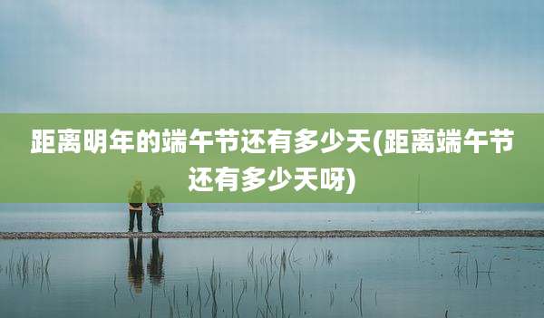 距离明年的端午节还有多少天(距离端午节还有多少天呀)