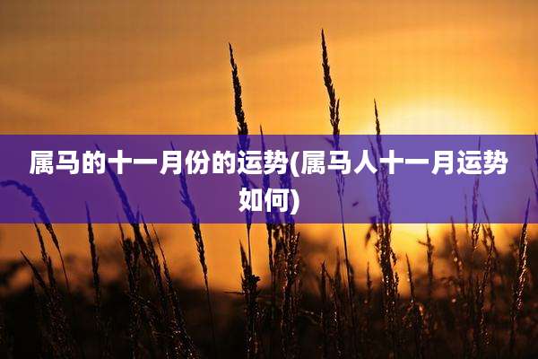 属马的十一月份的运势(属马人十一月运势如何)