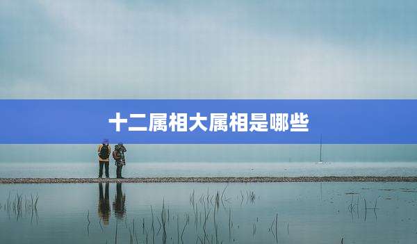 十二属相大属相是哪些