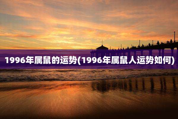 1996年属鼠的运势(1996年属鼠人运势如何)
