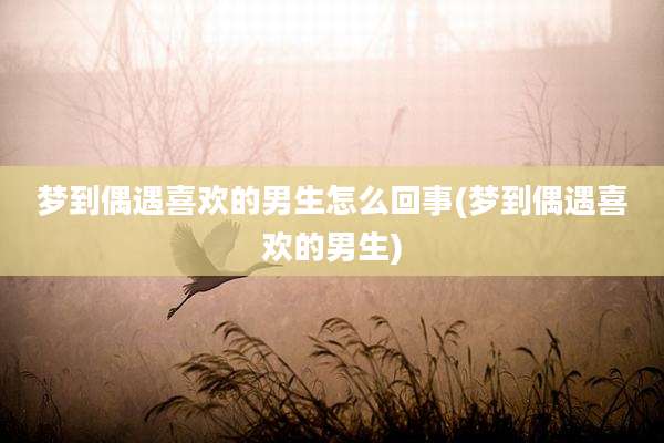 梦到偶遇喜欢的男生怎么回事(梦到偶遇喜欢的男生)