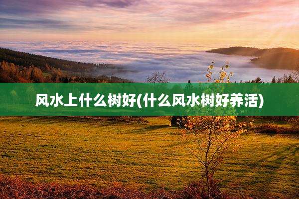 风水上什么树好(什么风水树好养活)