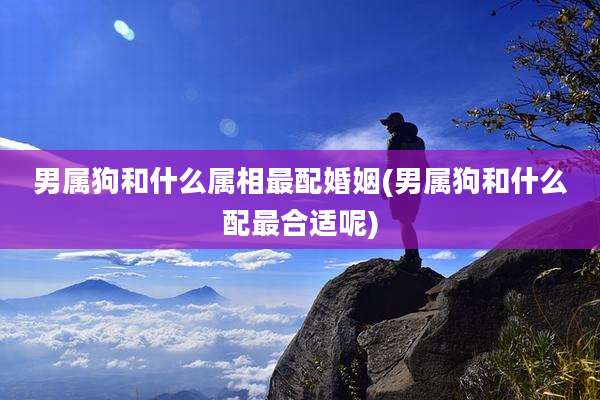 男属狗和什么属相最配婚姻(男属狗和什么配最合适呢)