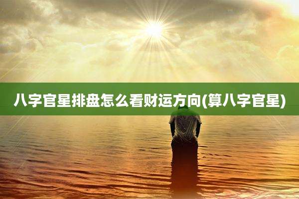 八字官星排盘怎么看财运方向(算八字官星)
