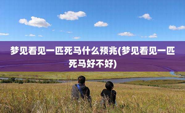梦见看见一匹死马什么预兆(梦见看见一匹死马好不好)