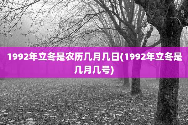 1992年立冬是农历几月几日(1992年立冬是几月几号)
