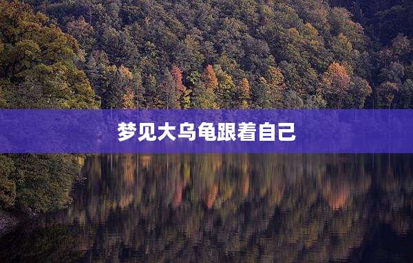 梦见大乌龟跟着自己