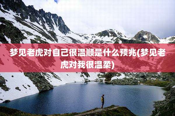 梦见老虎对自己很温顺是什么预兆(梦见老虎对我很温柔)