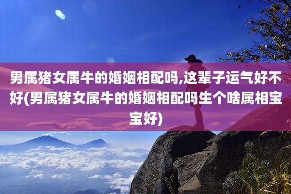 男属猪女属牛的婚姻相配吗,这辈子运气好不好(男属猪女属牛的婚姻相配吗生个啥属相宝宝好)