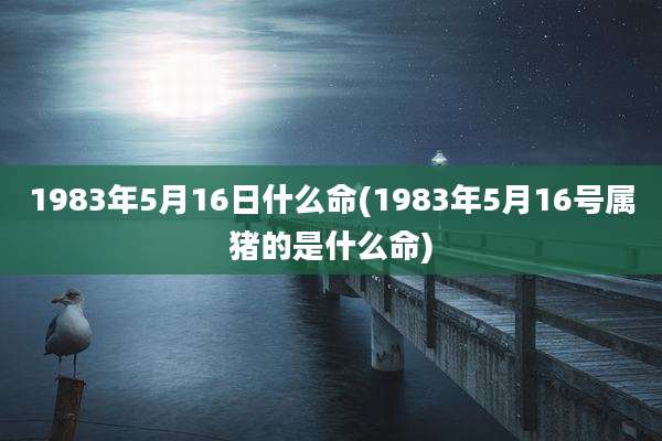 1983年5月16日什么命(1983年5月16号属猪的是什么命)