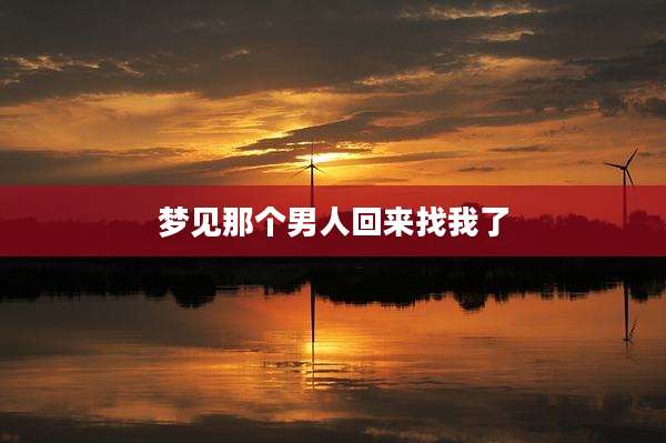 梦见那个男人回来找我了