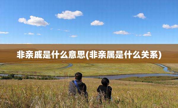 非亲戚是什么意思(非亲属是什么关系)