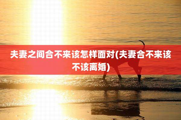 夫妻之间合不来该怎样面对(夫妻合不来该不该离婚)